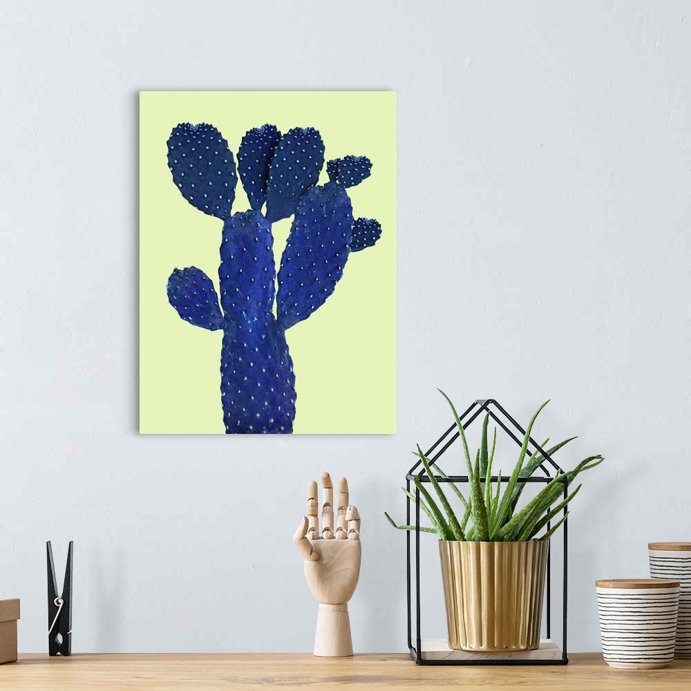 A bohemian room featuring Cactus on white backgraund