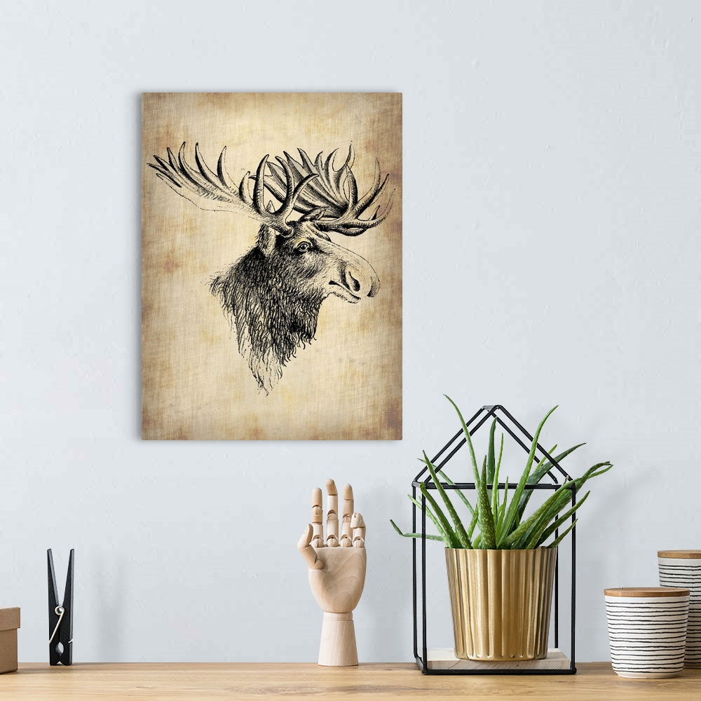 A bohemian room featuring Moose, Vintage Moose, vintage art, vintage prints