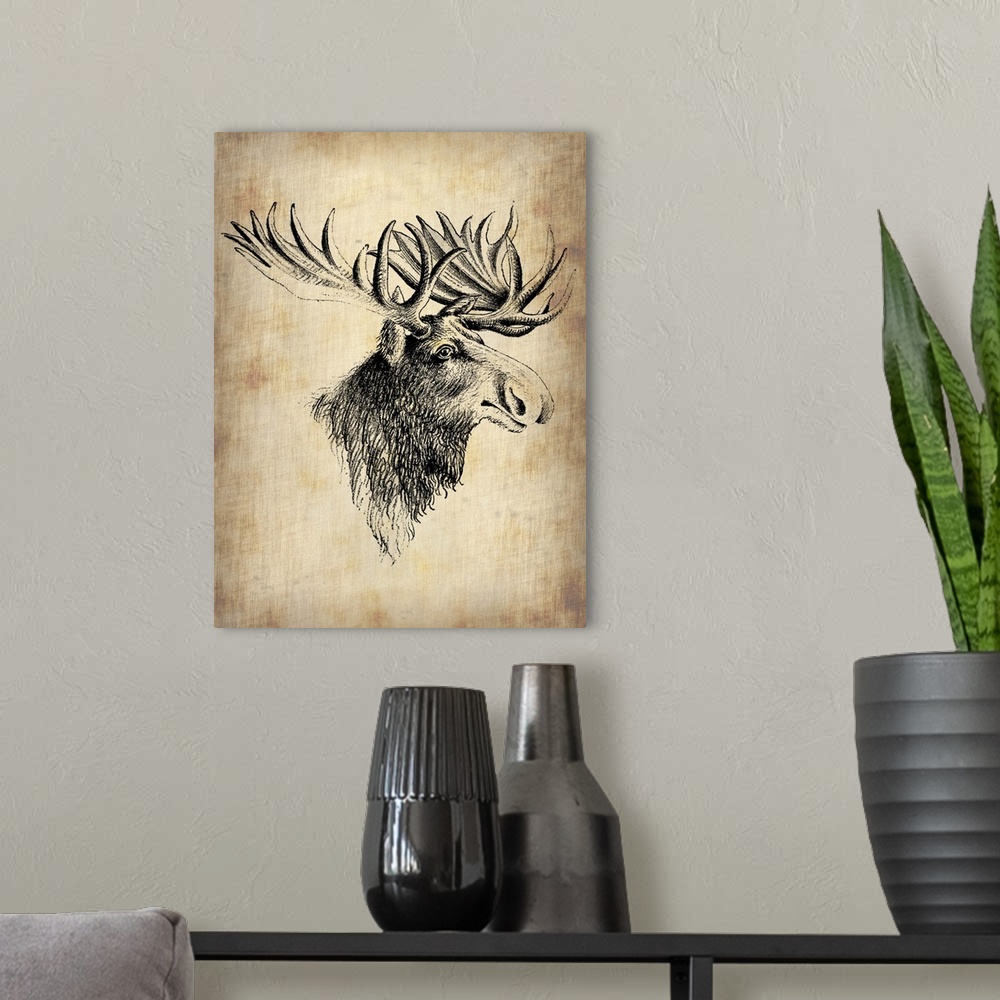 A modern room featuring Moose, Vintage Moose, vintage art, vintage prints