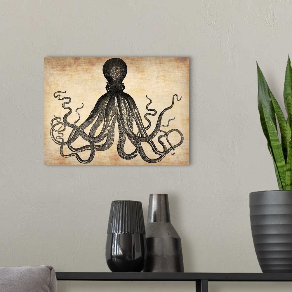 A modern room featuring Vintage Octopus, vintage art, vintage prints