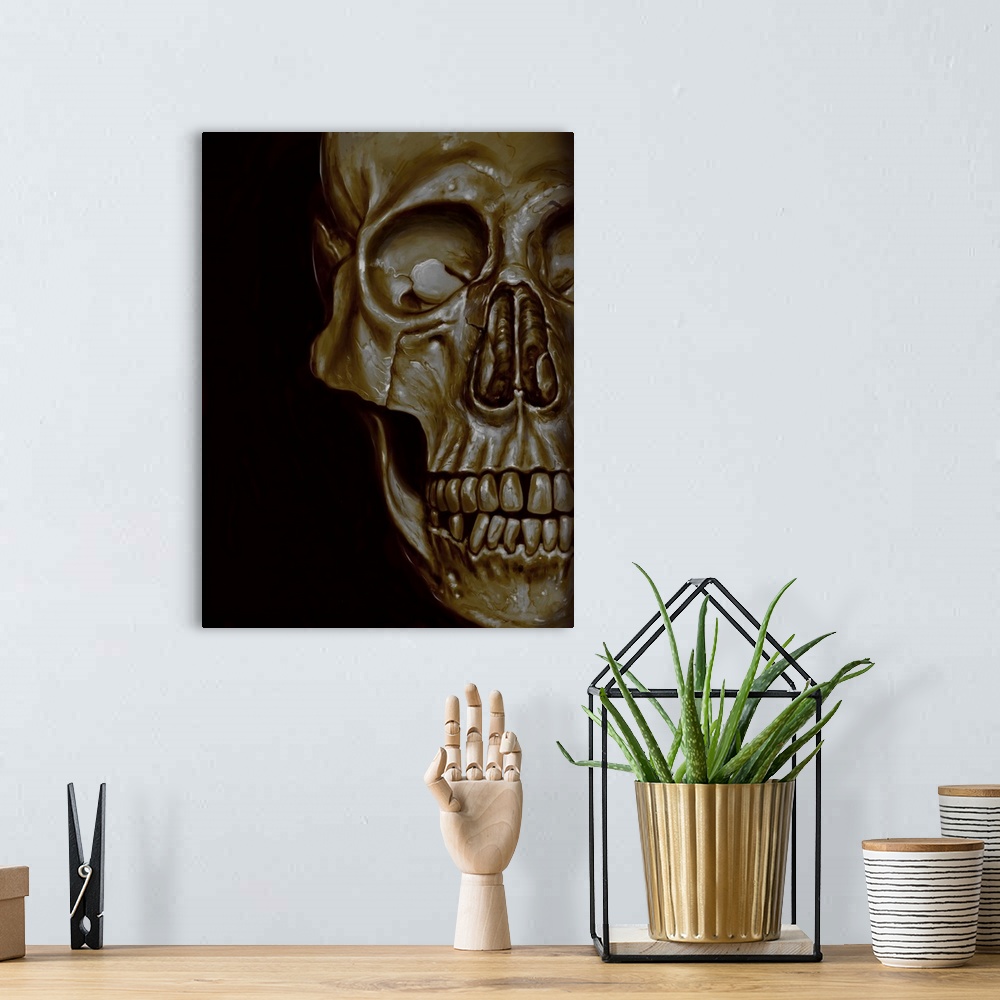 A bohemian room featuring Skulled