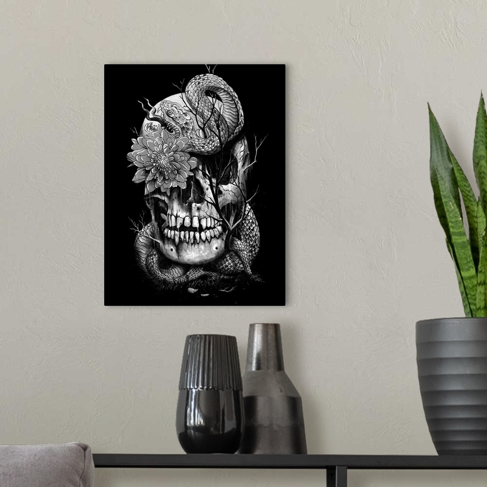 A modern room featuring Snake And Skull