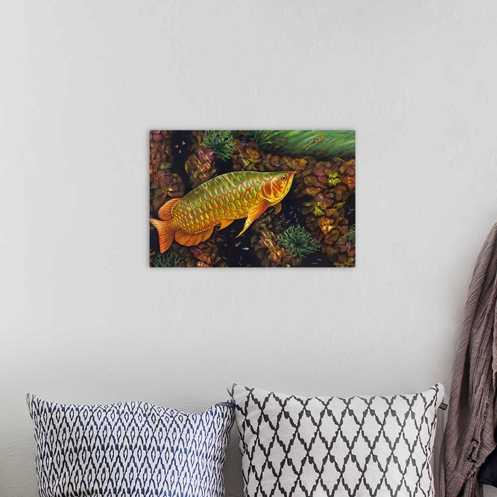 A bohemian room featuring A tiny frog darts away from the path of a majestic <i>arawan,</i> or dragon fish. Bubbles drift t...