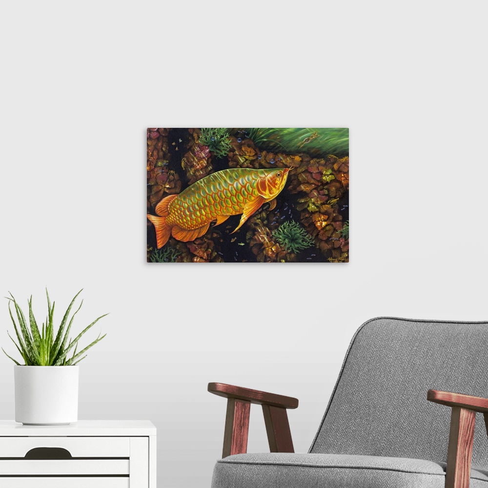 A modern room featuring A tiny frog darts away from the path of a majestic <i>arawan,</i> or dragon fish. Bubbles drift t...