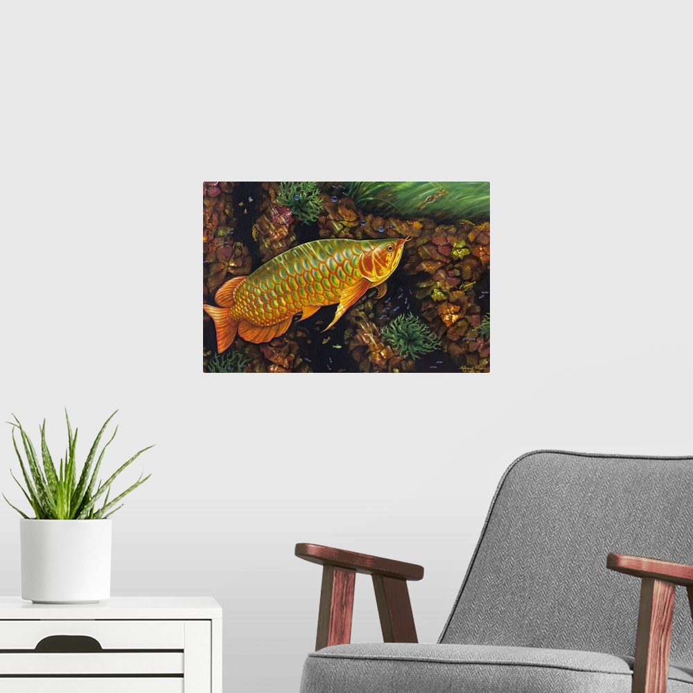 A modern room featuring A tiny frog darts away from the path of a majestic <i>arawan,</i> or dragon fish. Bubbles drift t...