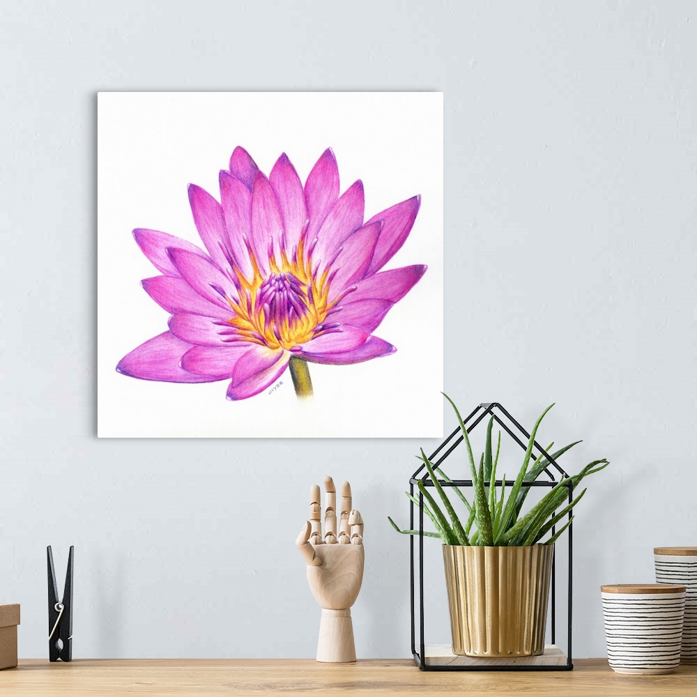 A bohemian room featuring Square painting of a vibrant colored lotus flower on a white background.