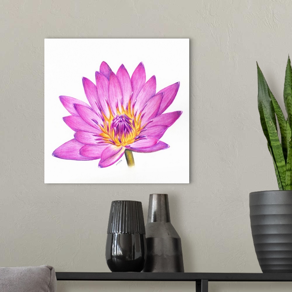 A modern room featuring Square painting of a vibrant colored lotus flower on a white background.