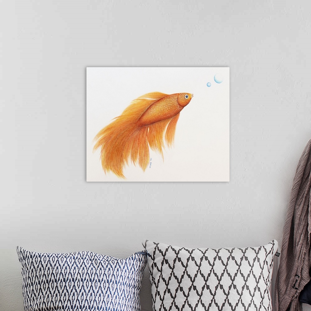 A bohemian room featuring Beautiful color pencil illustration of an orange betta fish with two blue bubbles on a white back...