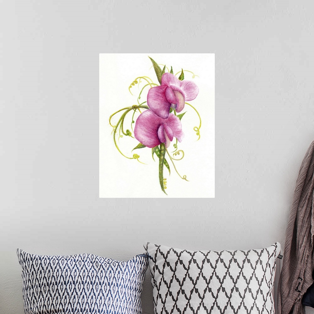 A bohemian room featuring Contemporary painting of sweet pea flowers on a white background.