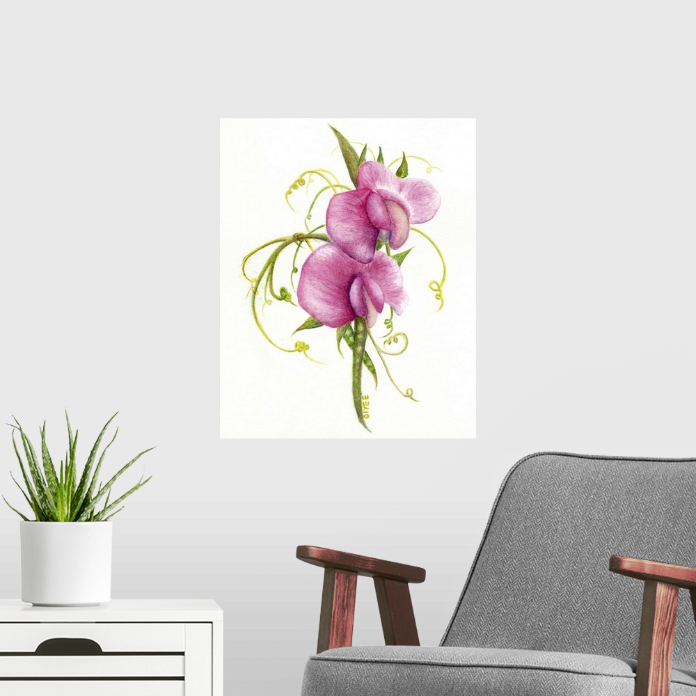 A modern room featuring Contemporary painting of sweet pea flowers on a white background.
