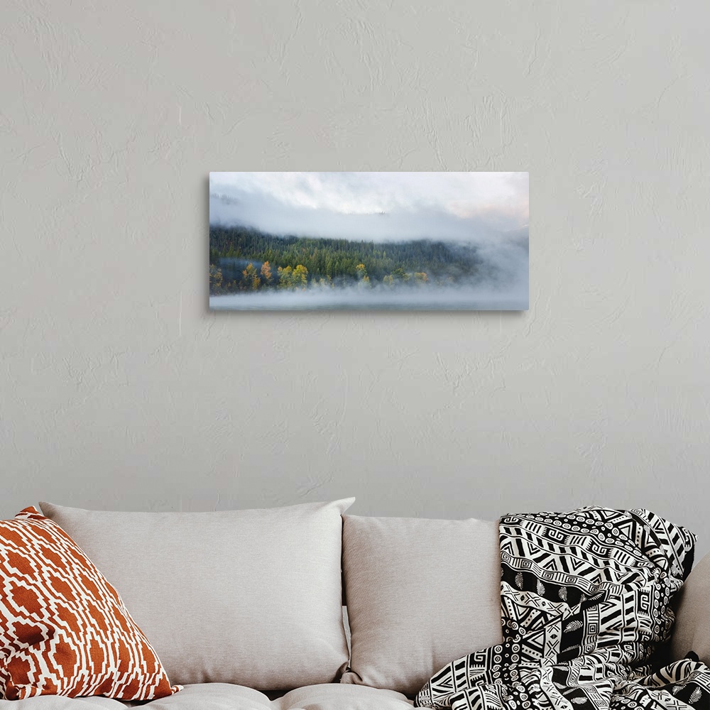 A bohemian room featuring Mist rise from Lake Wenatchee near Leavenworth, Washington, surrounding a stand of trees showing ...
