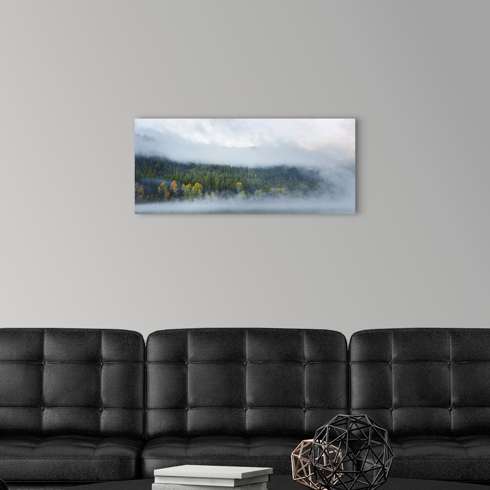 A modern room featuring Mist rise from Lake Wenatchee near Leavenworth, Washington, surrounding a stand of trees showing ...