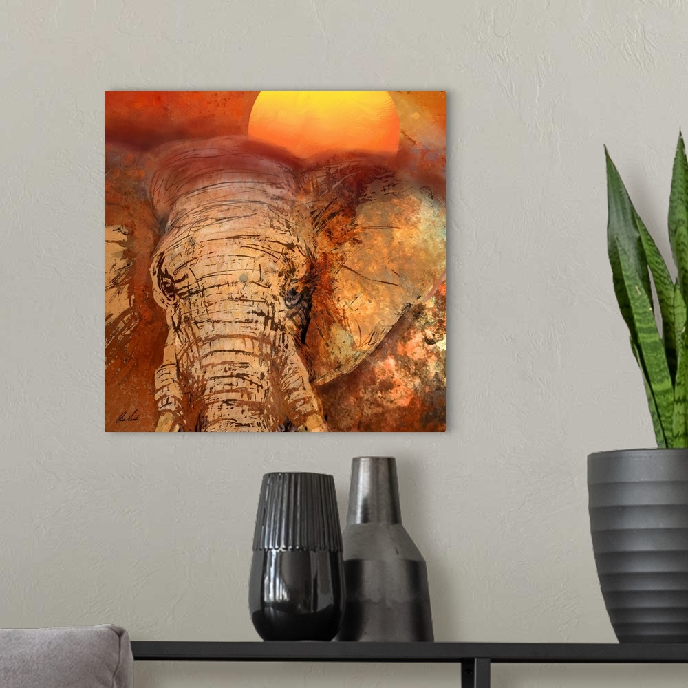 A modern room featuring African Elephant