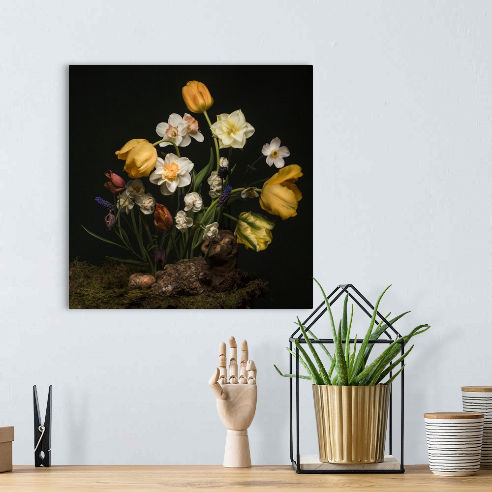 A bohemian room featuring A Dutch golden age inspired still life image featuring daffodils, parrot tulips, and other spring...