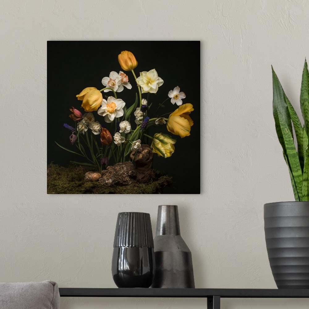 A modern room featuring A Dutch golden age inspired still life image featuring daffodils, parrot tulips, and other spring...