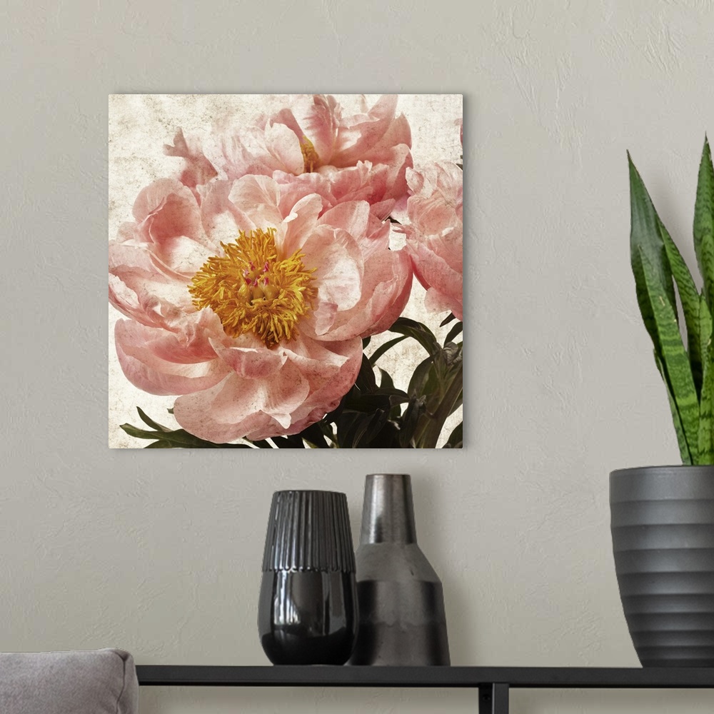 A modern room featuring Antique Peony