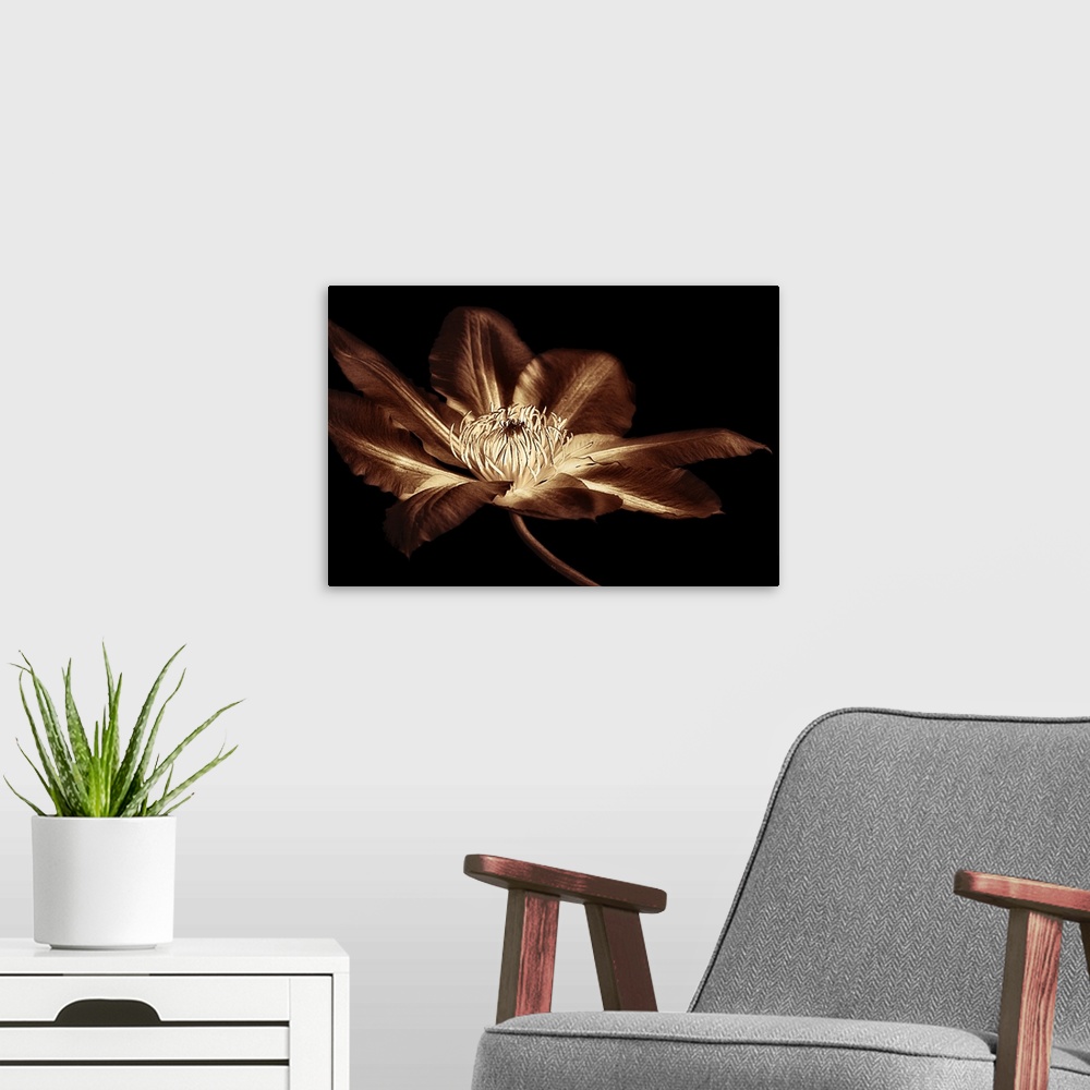 A modern room featuring Antique Sepia Flower II
