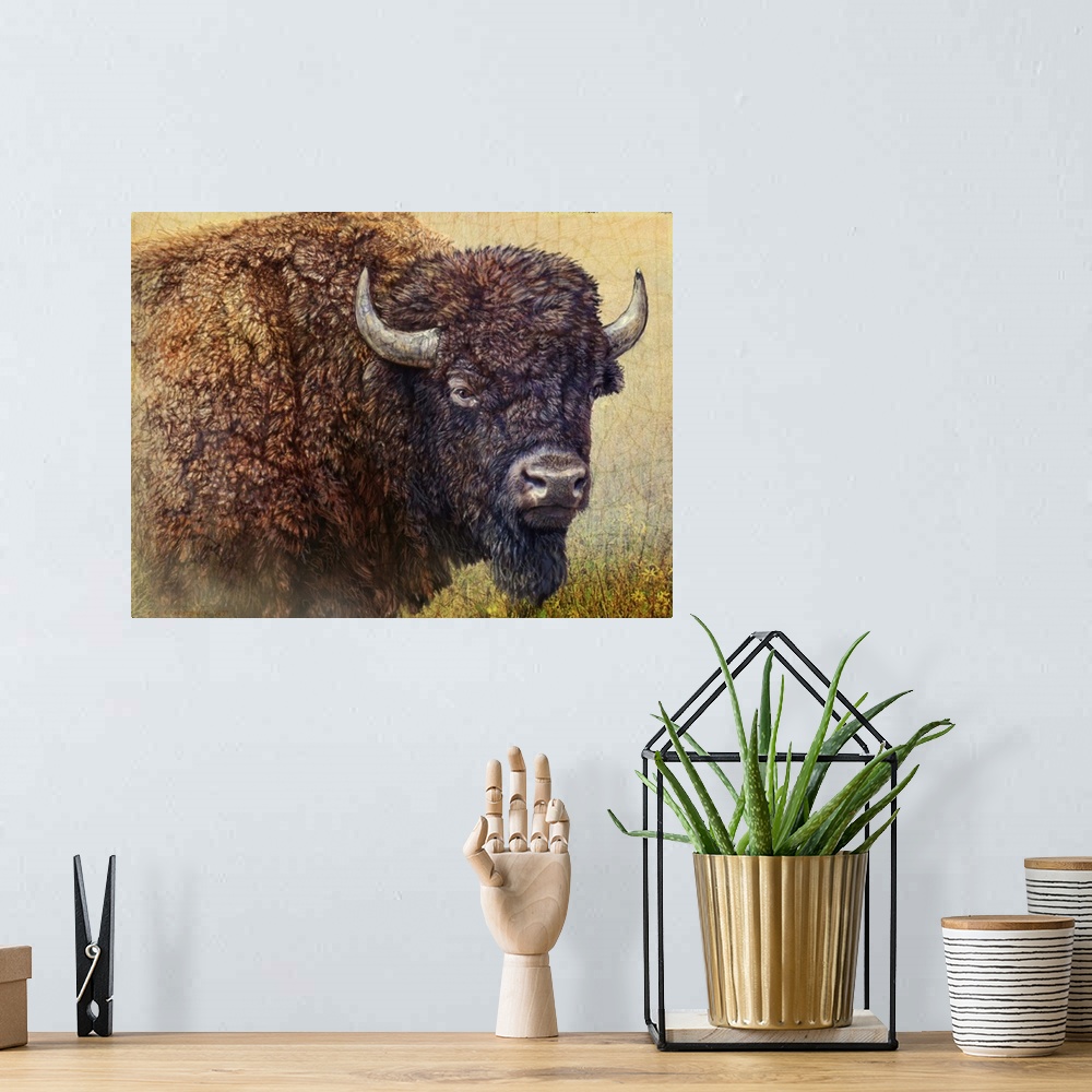 A bohemian room featuring Contemporary artwork of a bison portrait.