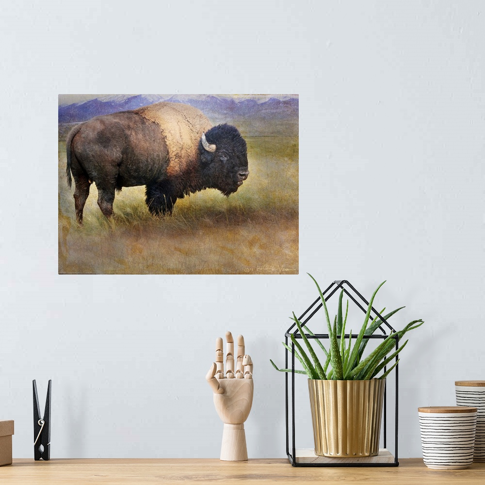 A bohemian room featuring Contemporary artwork of a bison roaming the american plains.