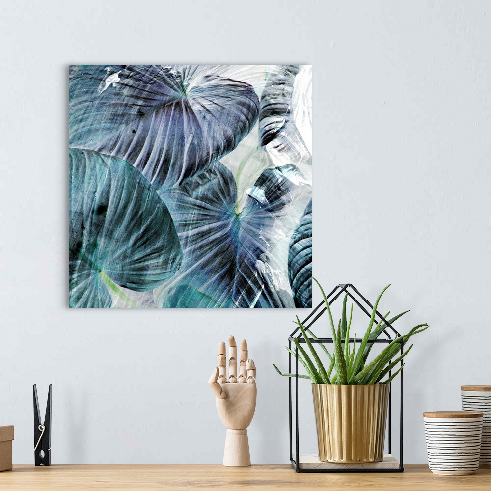 A bohemian room featuring Stormy morning in the rainforest of Costa Rica, misty air rising up painting everything a blue hu...