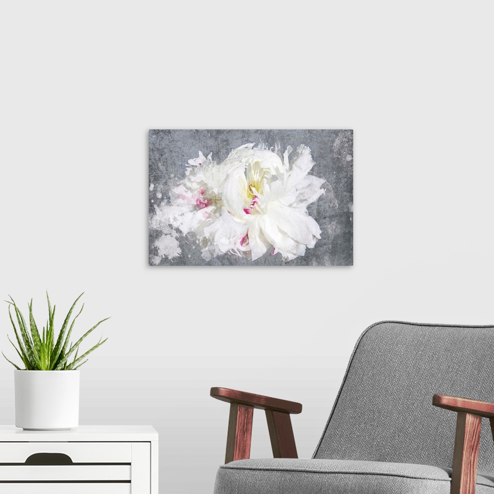 A modern room featuring Contemporary art of a white flower with delicate petals on grey.