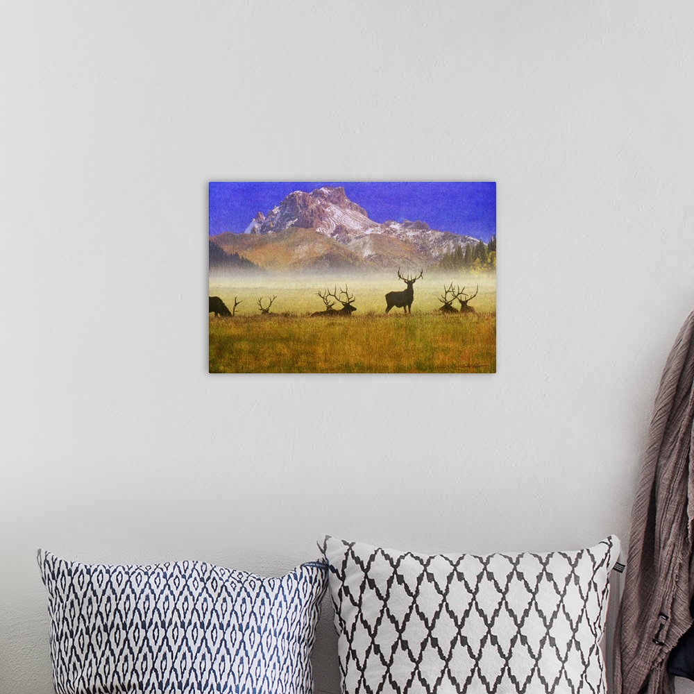 A bohemian room featuring Contemporary artwork of silhouetted group of bull elk in a misty morning field.
