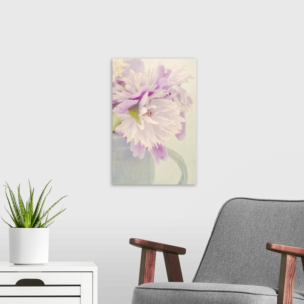 A modern room featuring Cactus Peony