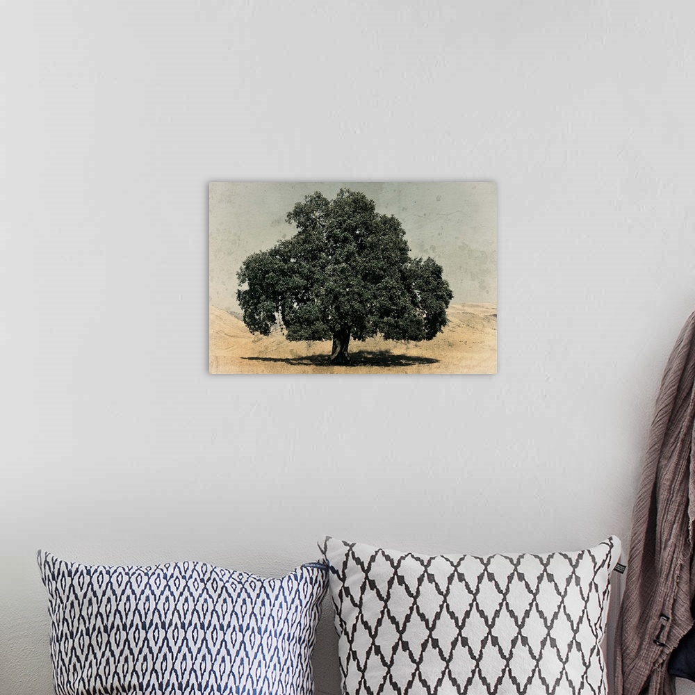 A bohemian room featuring California Oak