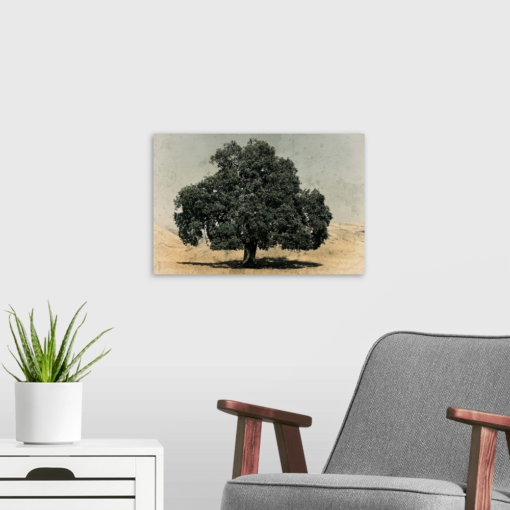 A modern room featuring California Oak