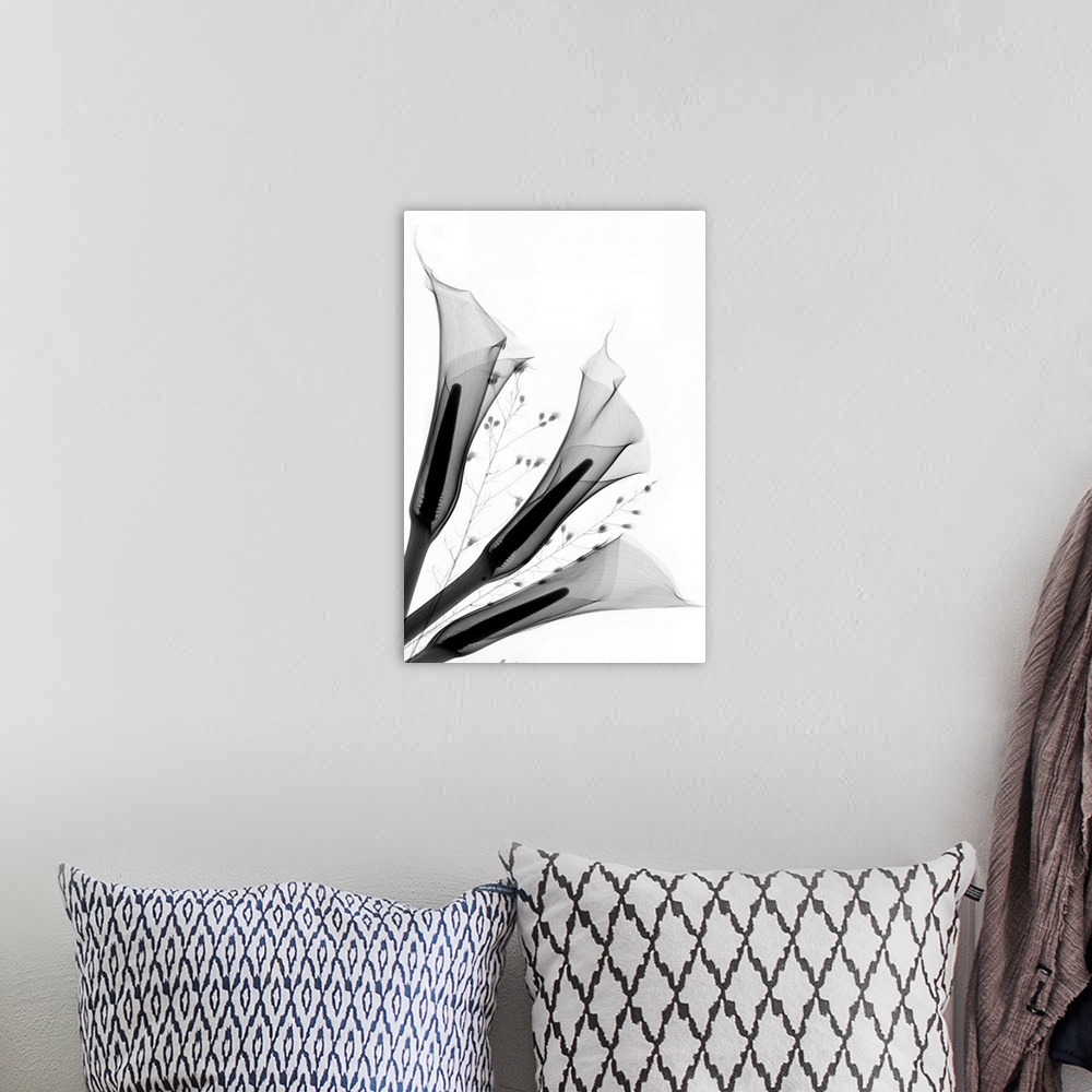 A bohemian room featuring Fine art photograph using an x-ray effect to capture an ethereal-like image of calla lilies.