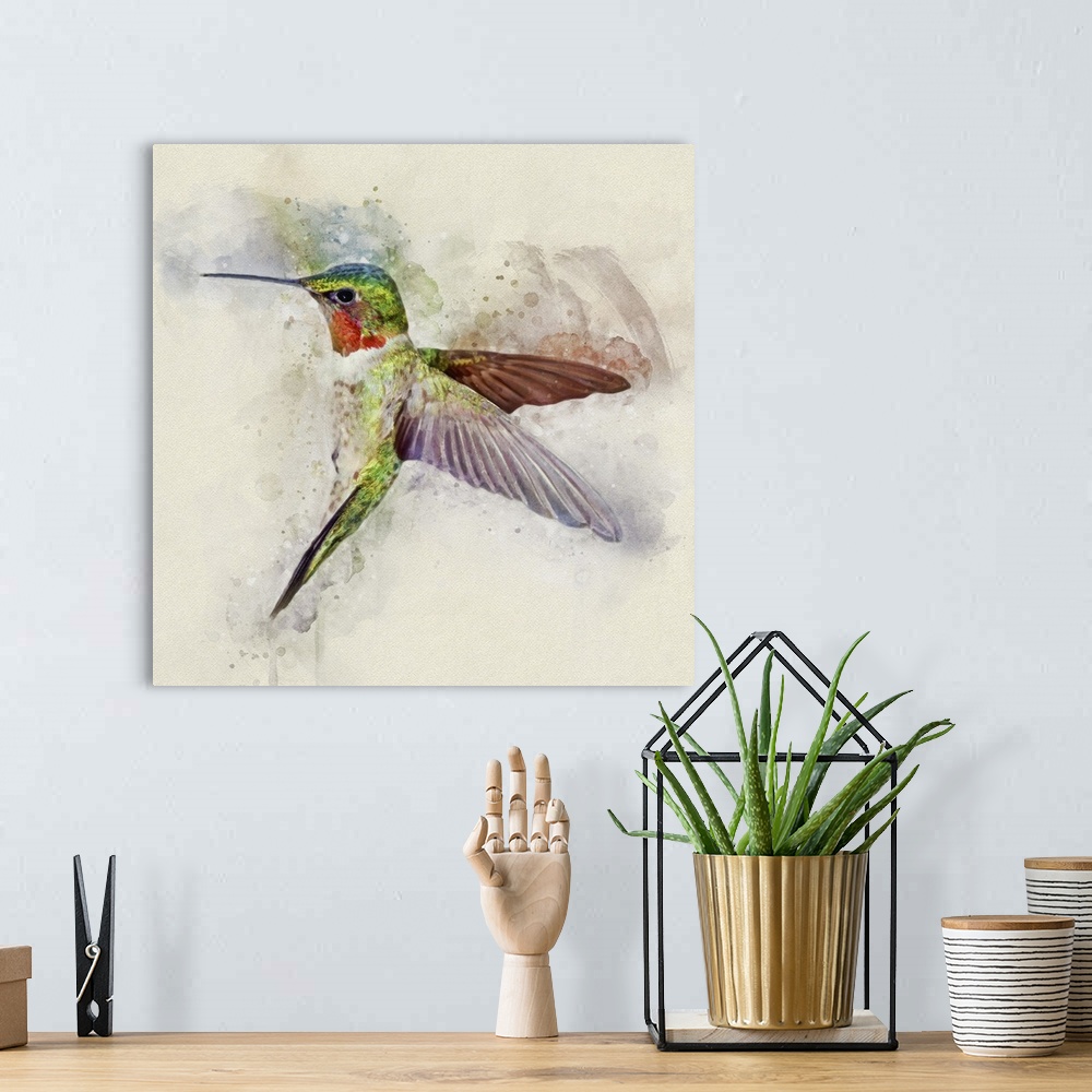 A bohemian room featuring A Ruby-throated Hummingbird in mid-flight.