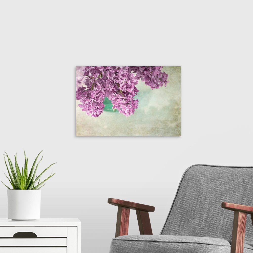 A modern room featuring Dark Lilacs