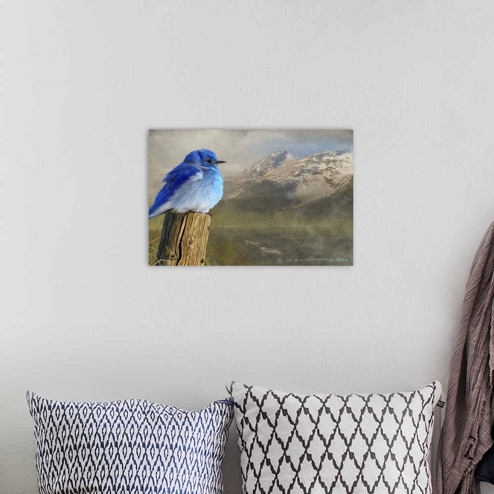 A bohemian room featuring Contemporary artwork of a mountain bluebird perched on an old fence post.