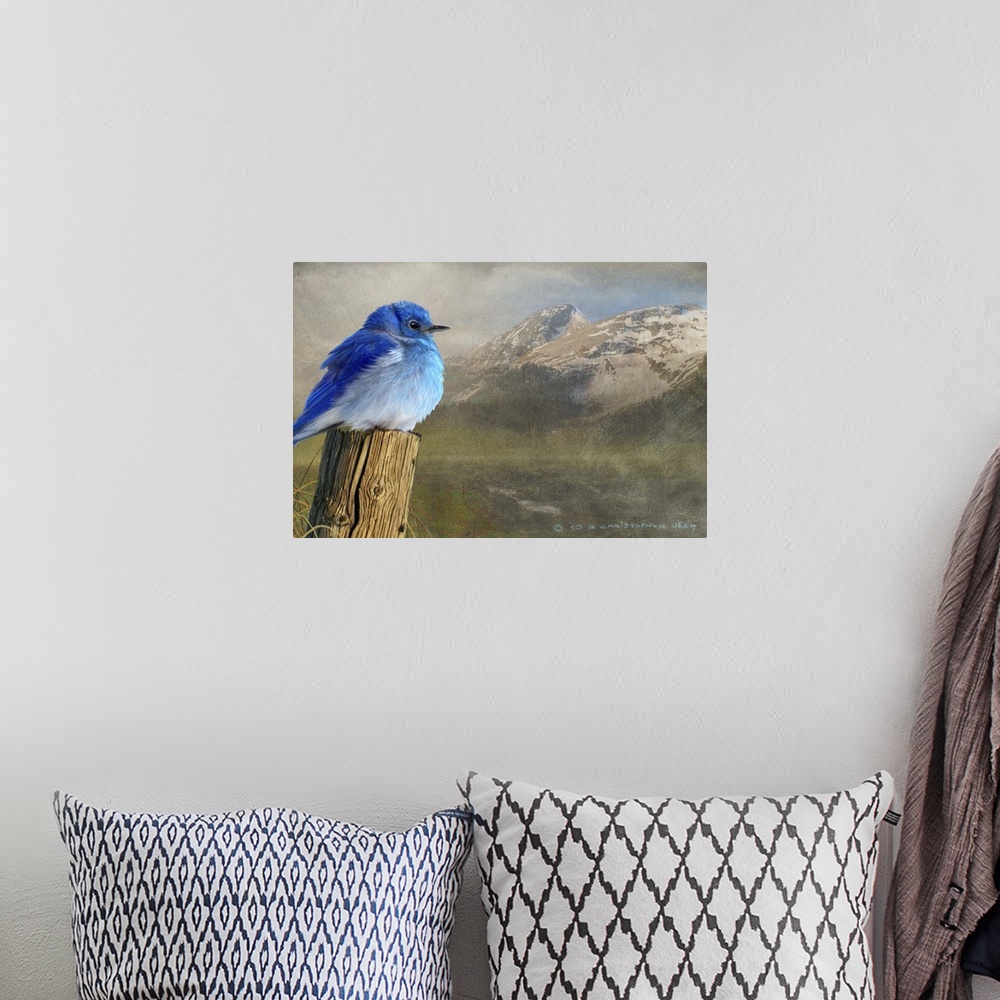 A bohemian room featuring Contemporary artwork of a mountain bluebird perched on an old fence post.