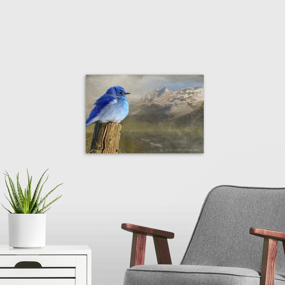 A modern room featuring Contemporary artwork of a mountain bluebird perched on an old fence post.