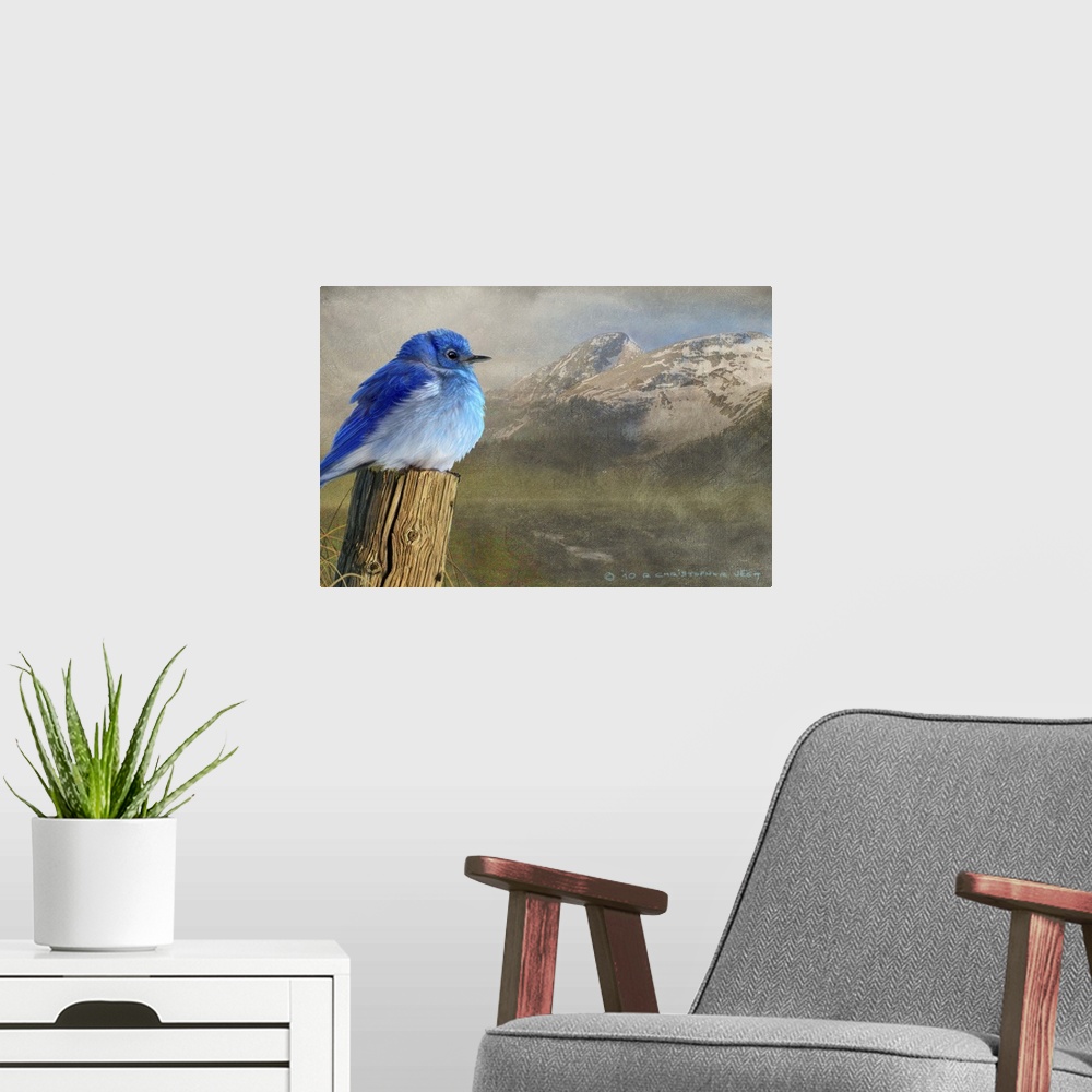 A modern room featuring Contemporary artwork of a mountain bluebird perched on an old fence post.