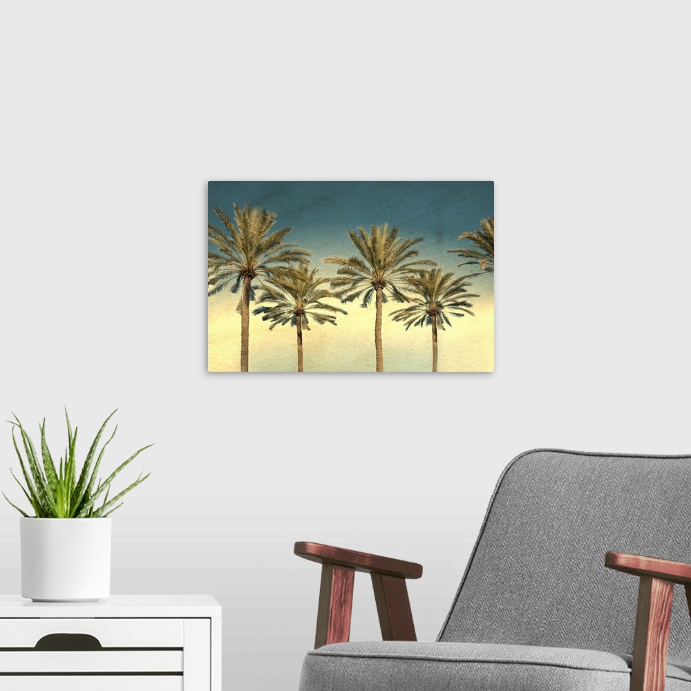 A modern room featuring Distressed Palm Trees II