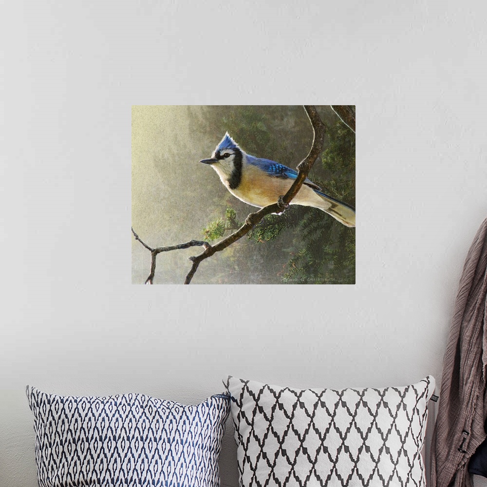 A bohemian room featuring Contemporary artwork of a blue jay perched on a tree branch.