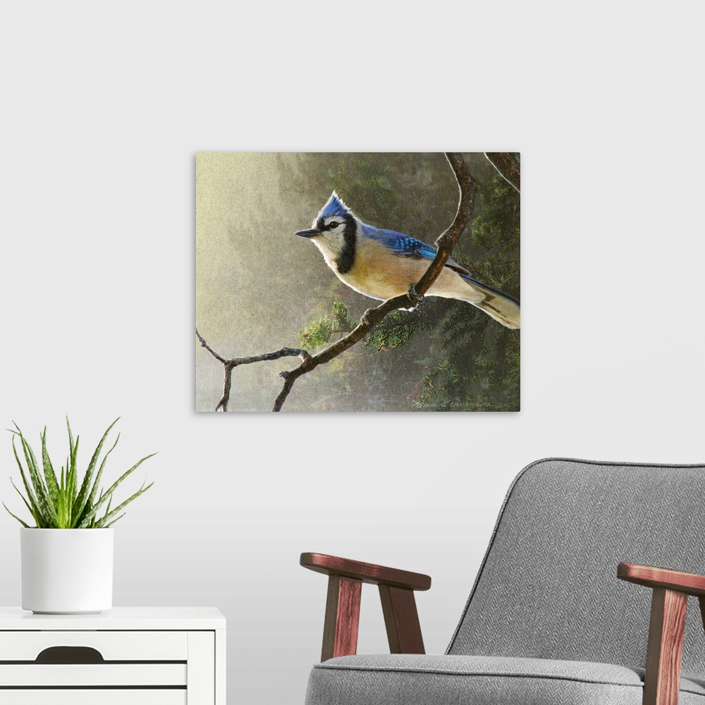 A modern room featuring Contemporary artwork of a blue jay perched on a tree branch.