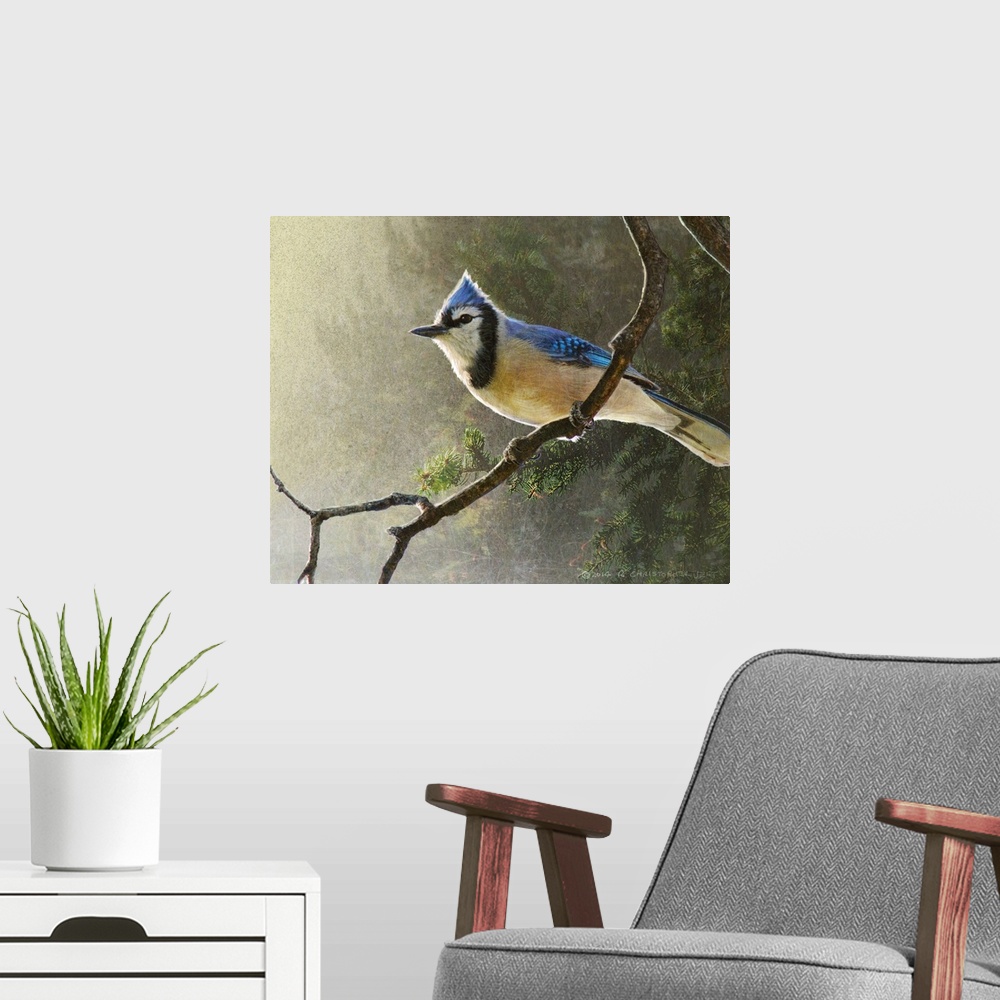 A modern room featuring Contemporary artwork of a blue jay perched on a tree branch.
