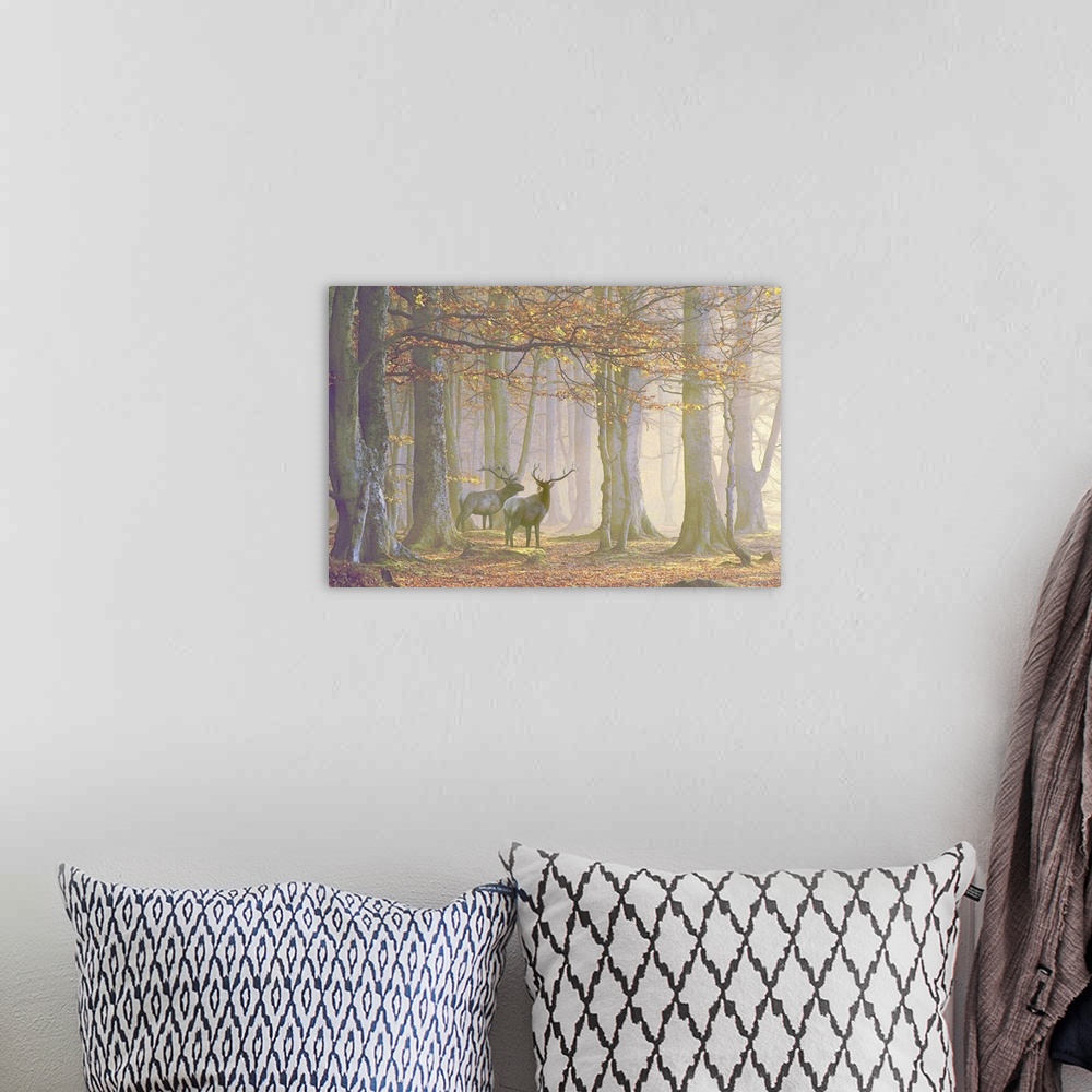 A bohemian room featuring A watercolor rendition of two noble elks standing in a mysterious misty autumn forest.