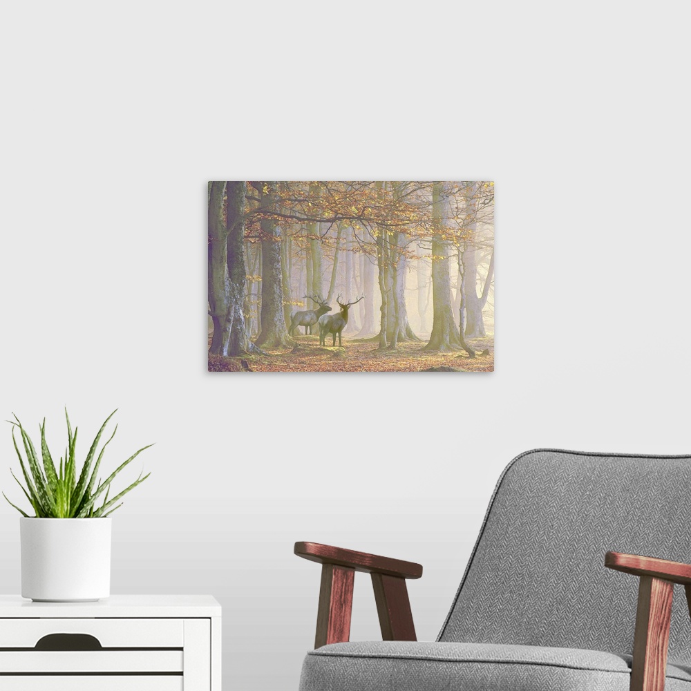 A modern room featuring A watercolor rendition of two noble elks standing in a mysterious misty autumn forest.