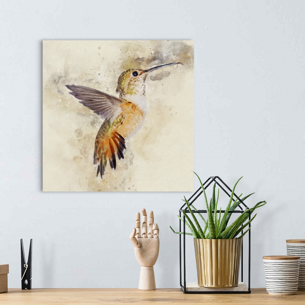 A bohemian room featuring A rufous hummingbird photographed in mid-flight.