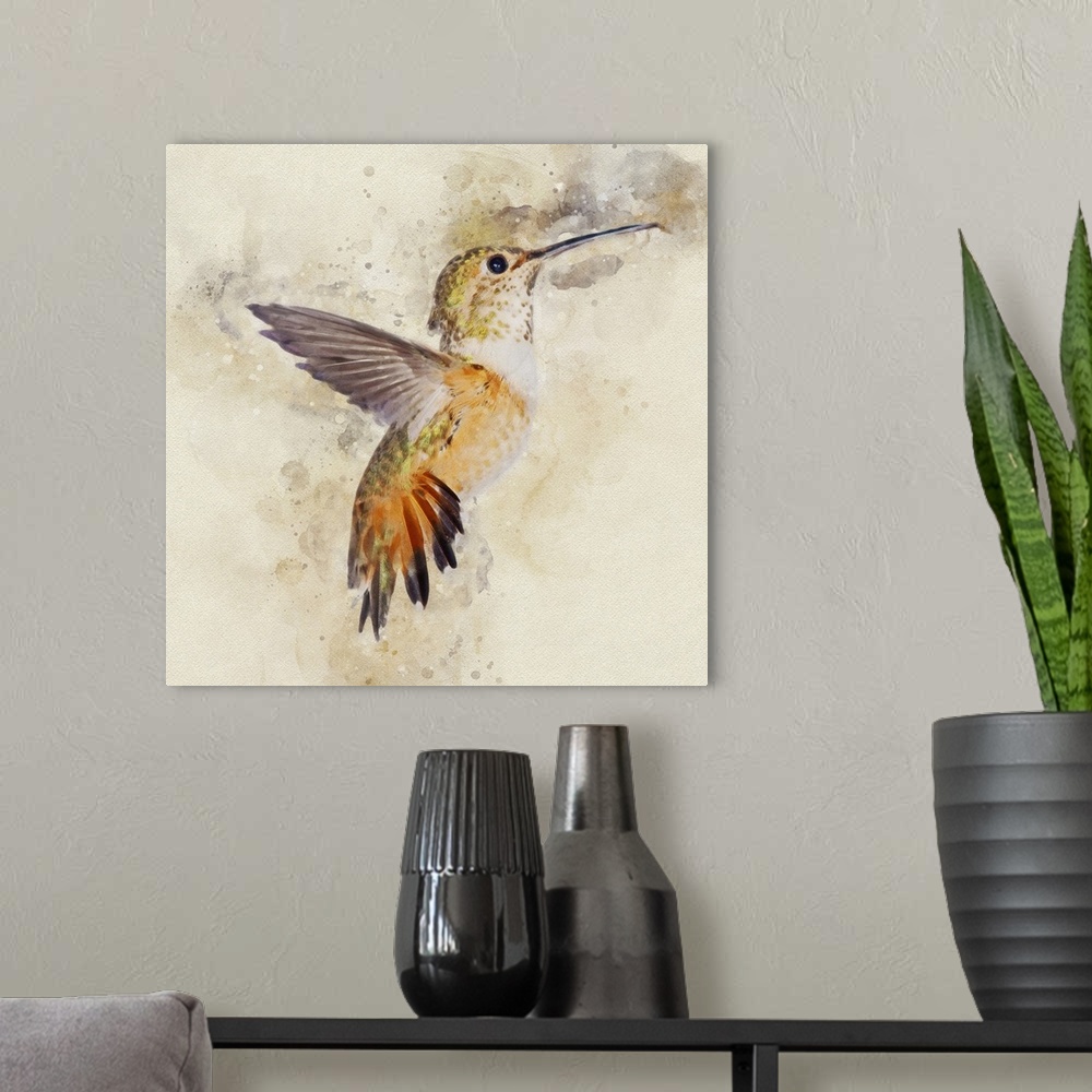 A modern room featuring A rufous hummingbird photographed in mid-flight.