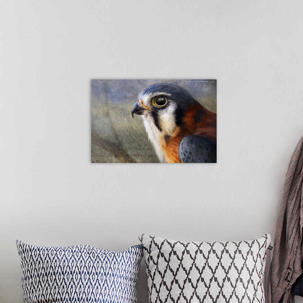 A bohemian room featuring Contemporary artwork of a portrait of a falcon.