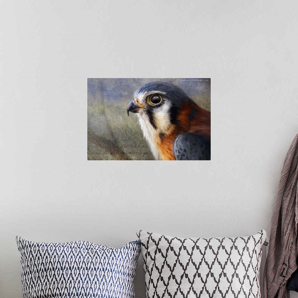 A bohemian room featuring Contemporary artwork of a portrait of a falcon.