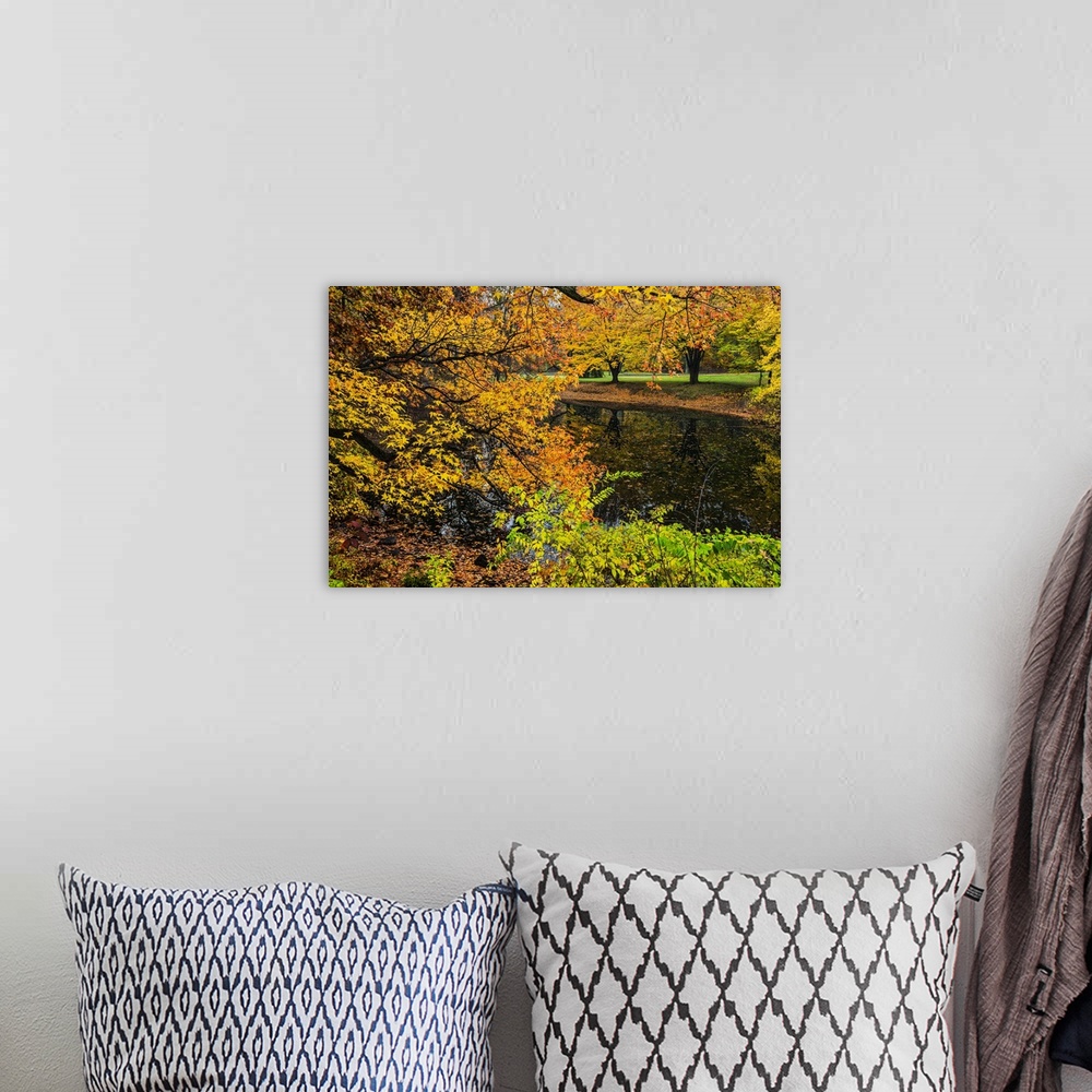A bohemian room featuring A photograph of an idyllic countryside scene during fall.