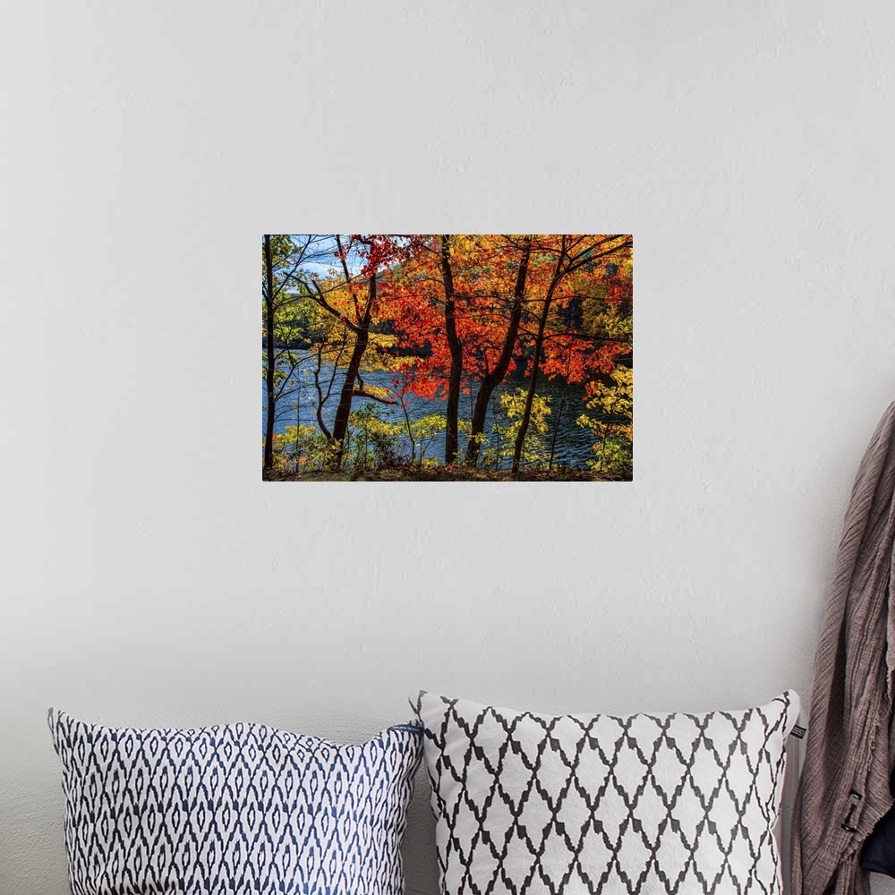 A bohemian room featuring A photograph of an idyllic countryside scene during fall.