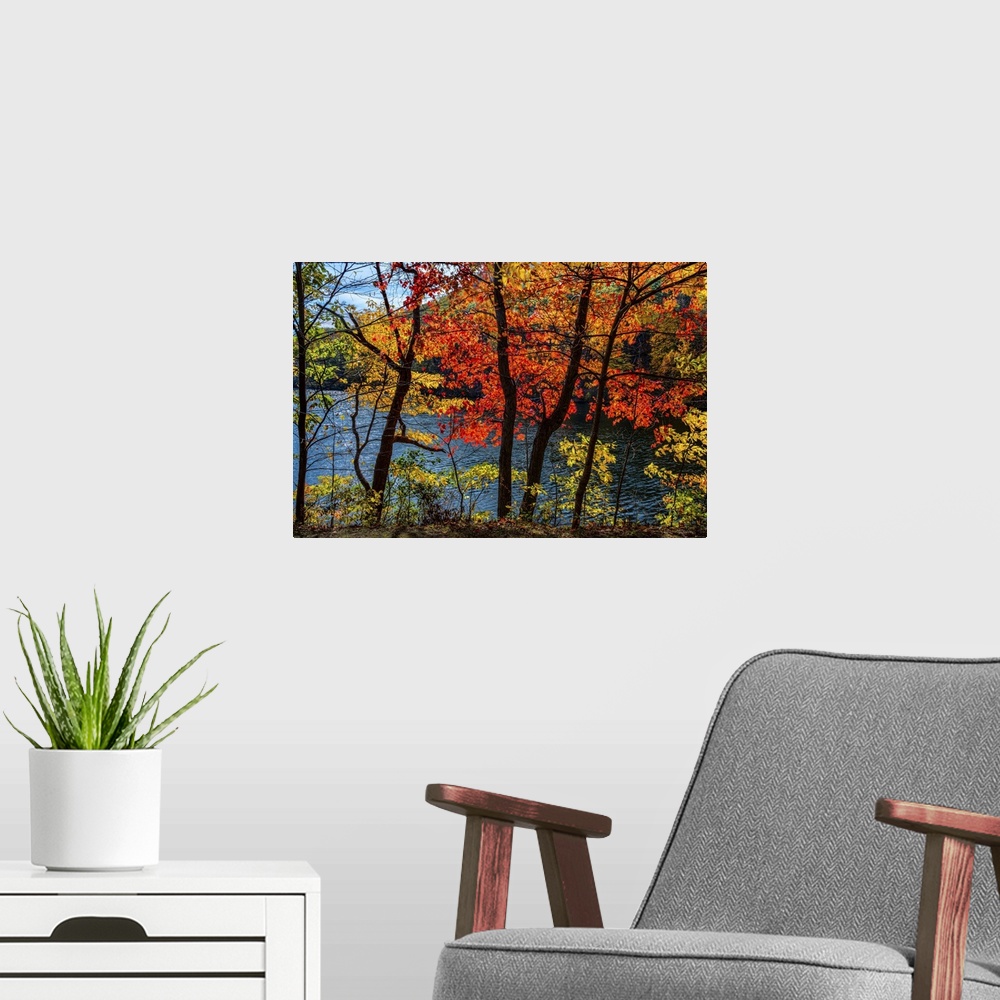A modern room featuring A photograph of an idyllic countryside scene during fall.