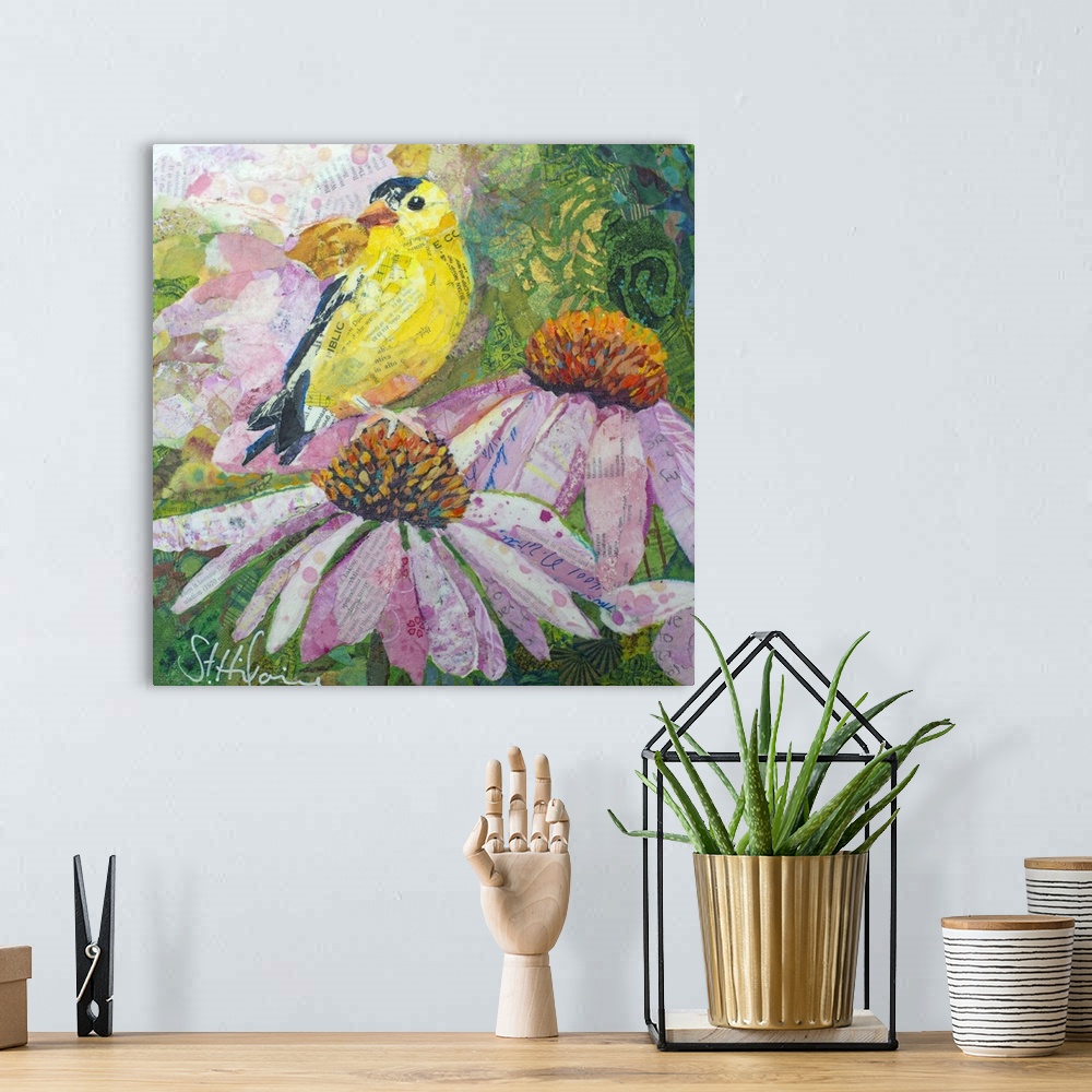 A bohemian room featuring American Goldfinch on coneflowers and echinacea flowers.